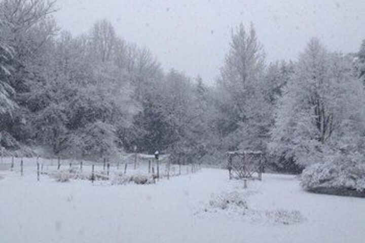 Property Grounds 54 of 62