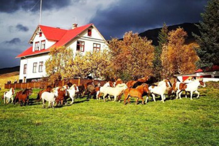 Ferðaþjónustan Geitaskarði