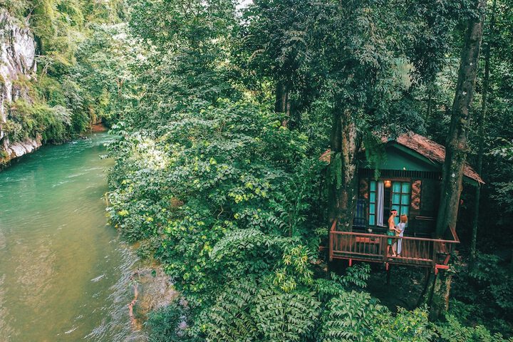 Our Jungle House