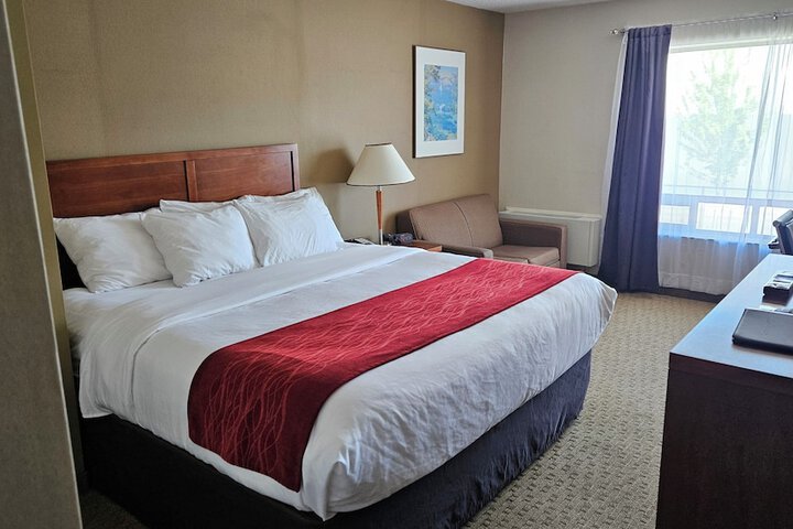 Room 11 of 24