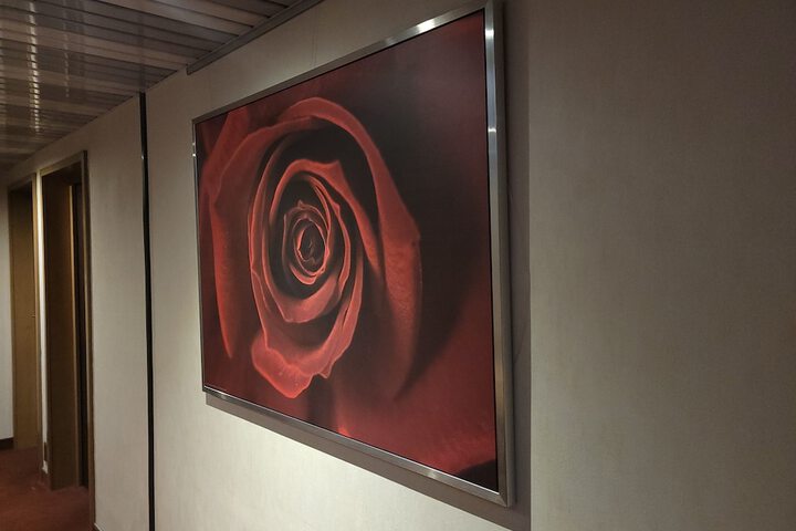 Ballroom/Hall 115 of 143