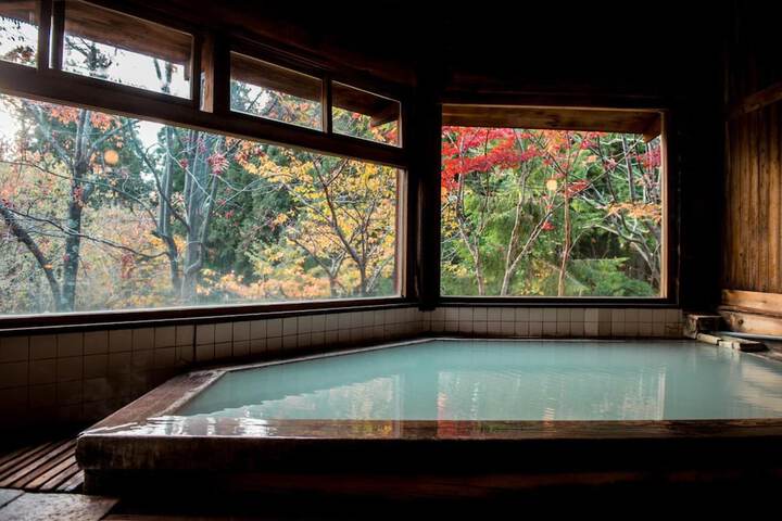 Wellness Treatments