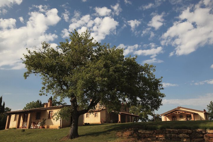 Agriturismo Belvedere Pierini e Brugi in Campagnatico