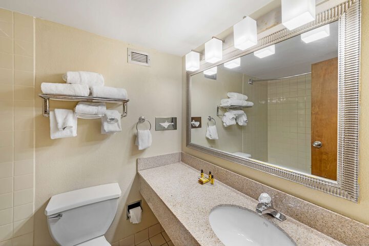 1 King Accessible Roll in Shower Exterior Entrance Microwave, Refrigerator WiFi Full Breakfast (21 of 22)