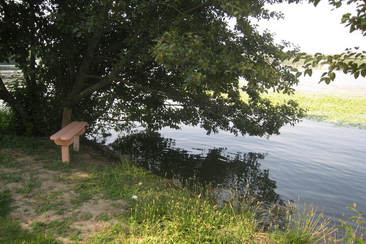 Property Grounds 20 of 25
