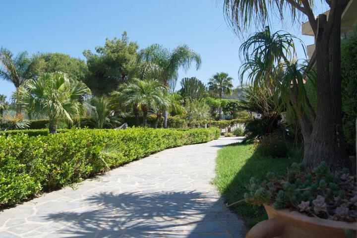 Photo 30