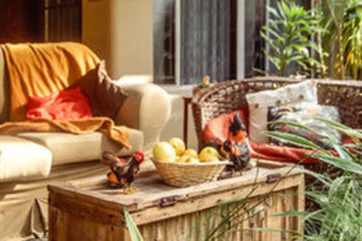 Terrace/Patio 30 of 30