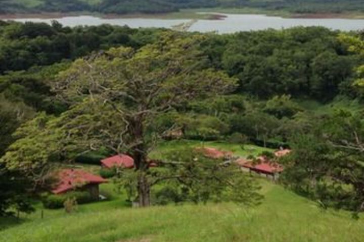 Green Village