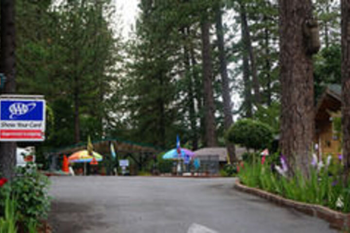 Property Grounds 16 of 16