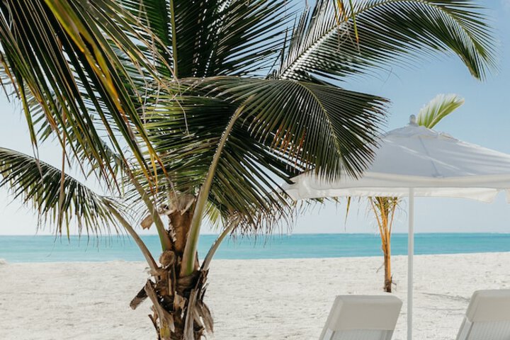 Beach 45 of 55