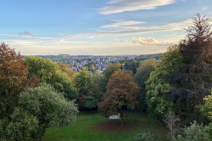 View from room