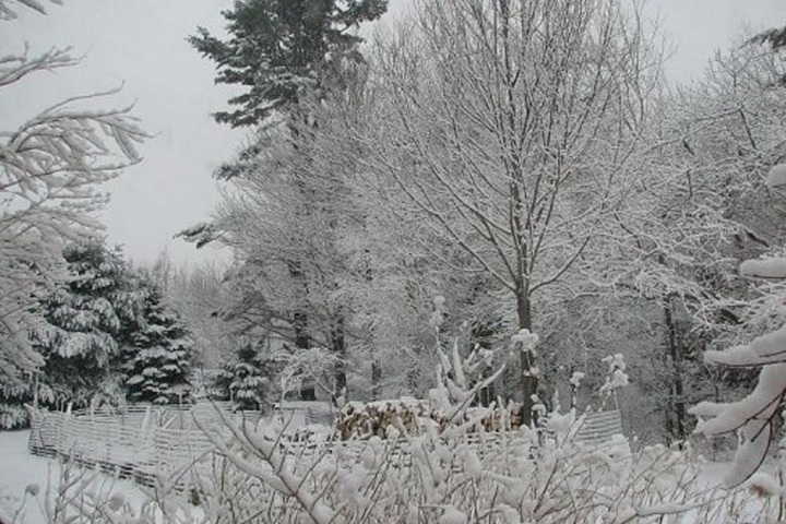 Property Grounds 2 of 6