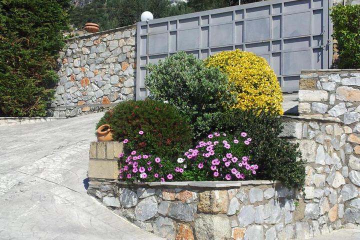 General 23 of 40
