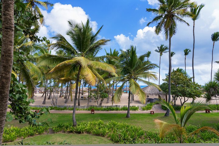 Beach 60 of 66