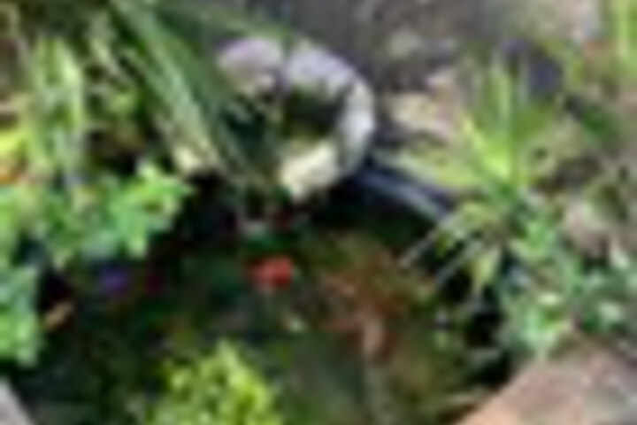 Terrace/Patio 149 of 243