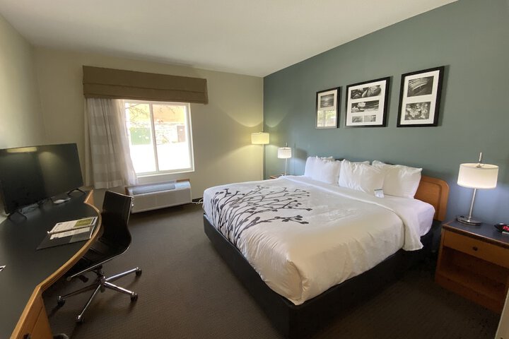 1 King Bed (13 of 14)