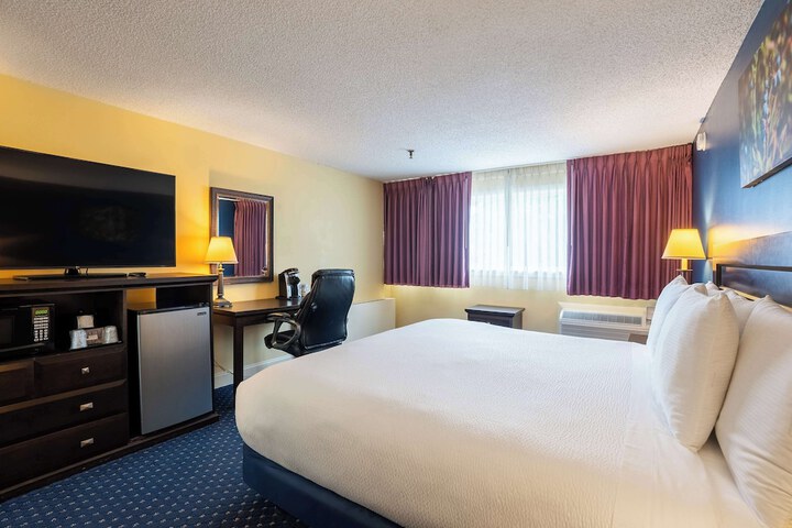 1 King Bed (19 of 39)