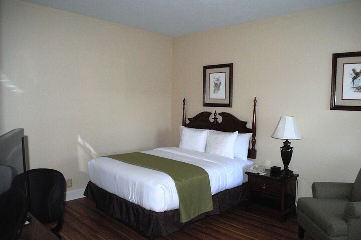 Executive 2 Queen Beds (6 of 8)