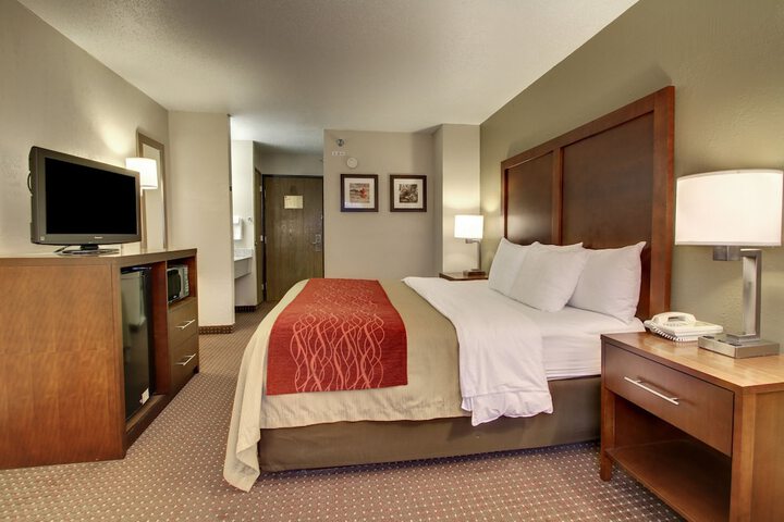 Standard with 1 King Bed (11 of 14)