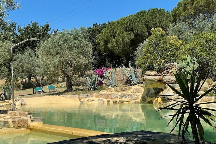 Pool 34 of 80