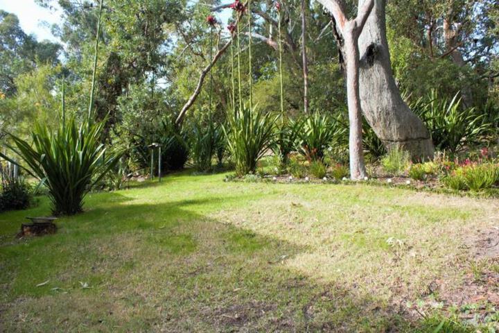 Photo 22