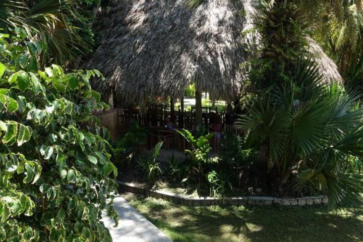 Photo 22