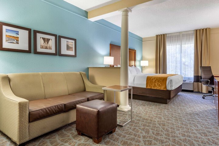 1 King Bed Suite (8 of 29)