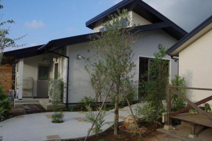 Sandal Wood