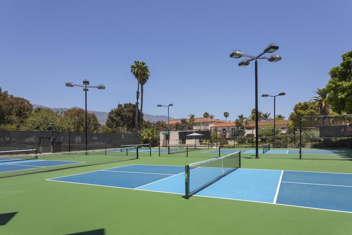 Sport court