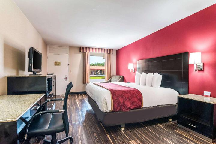 1 King Bed (6 of 13)