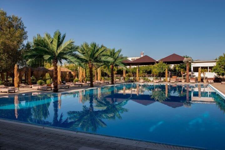 Pool 79 of 117