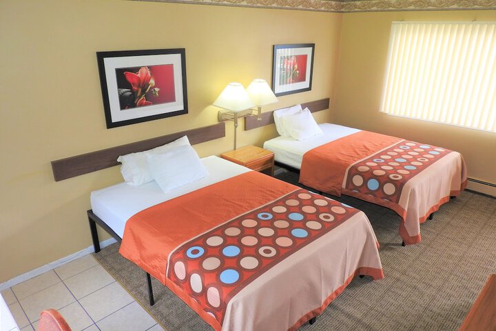 Standard Double Room (2 of 4)