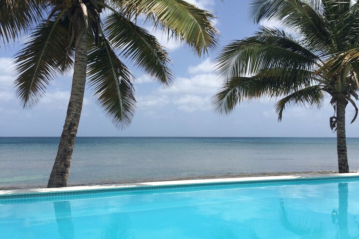 Pool 55 of 59