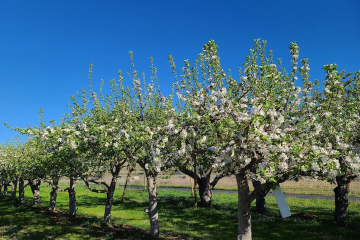 Property Grounds 68 of 87