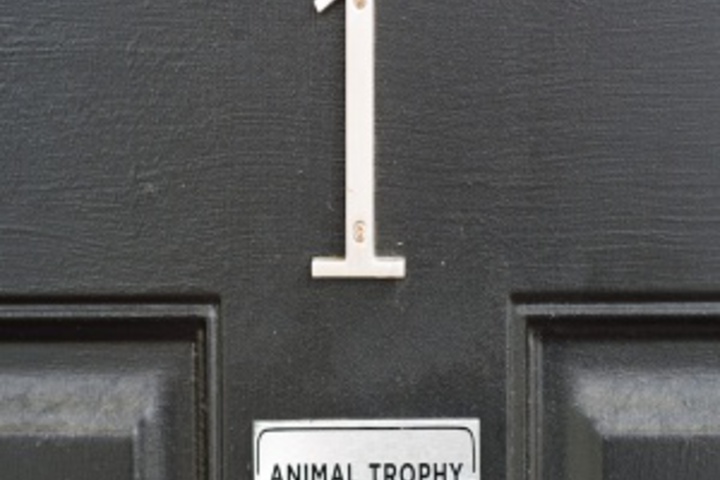 Room 537 of 671