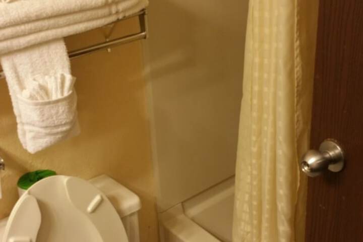 Deluxe Single King Bed (6 of 6)