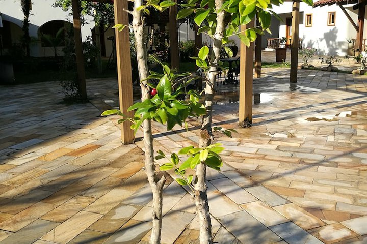 Terrace/Patio 52 of 61