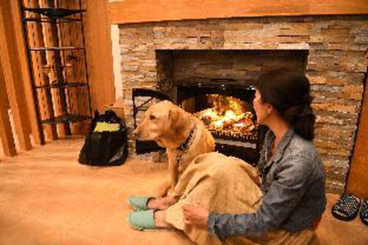 Dog Lovers Villa Leaf
