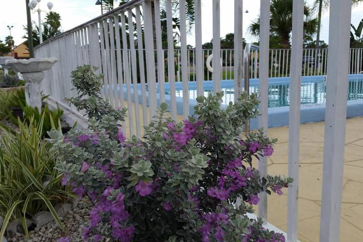 Property Grounds 26 of 35