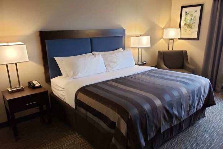 1 King Bed (3 of 10)