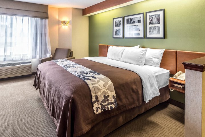 1 King Bed (7 of 15)