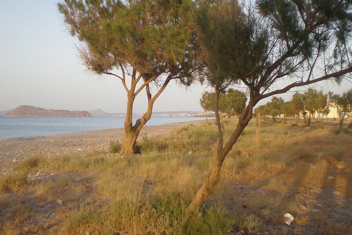 Beach 56 of 79