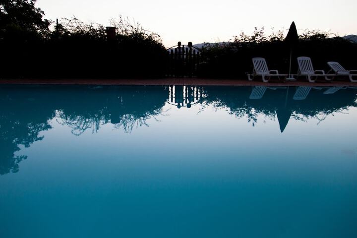 Pool 19 of 39