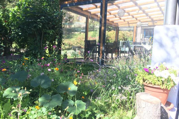 Spa and Wellness Pictures