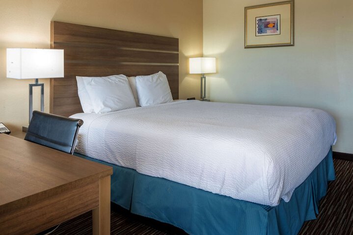 1 King Bed (12 of 22)