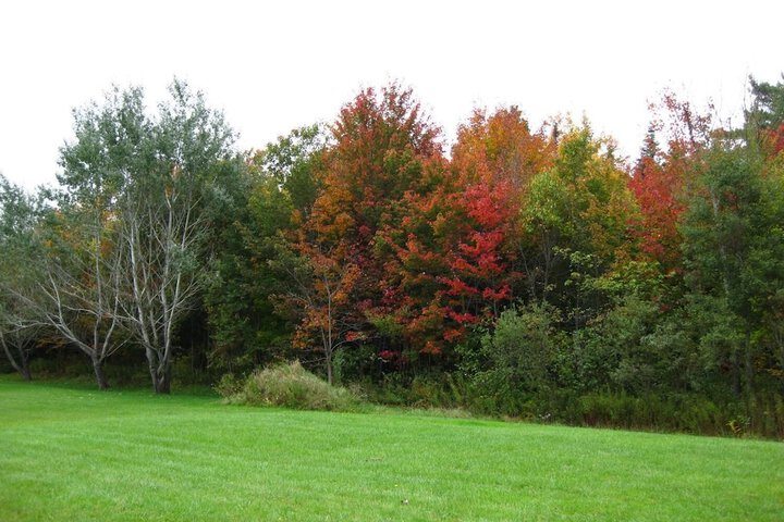 Property Grounds 26 of 34