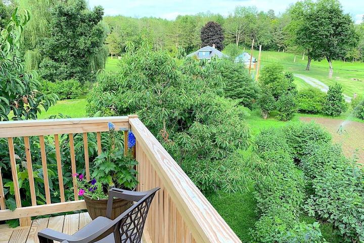 Terrace/Patio 36 of 61