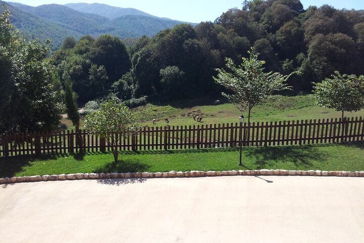 Terrace/Patio 36 of 132