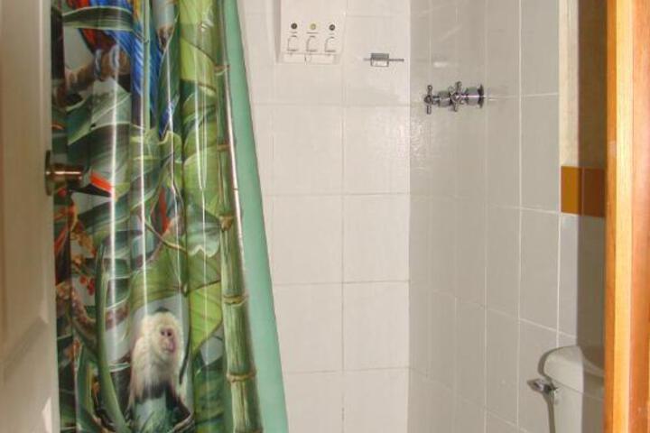 Photo 11