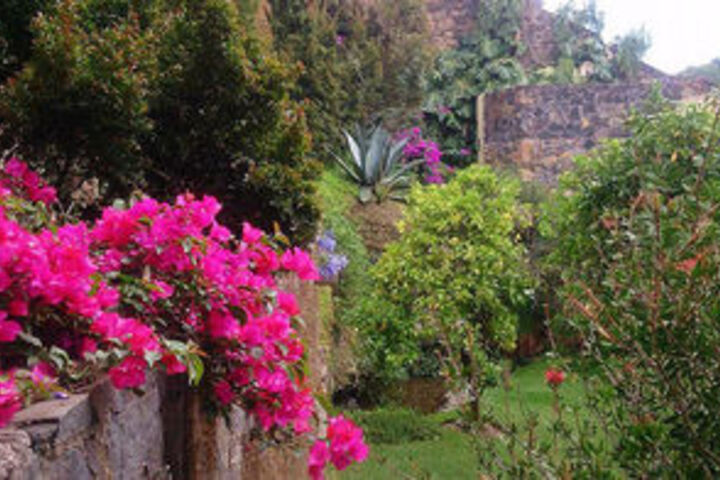 Spa and Wellness Pictures